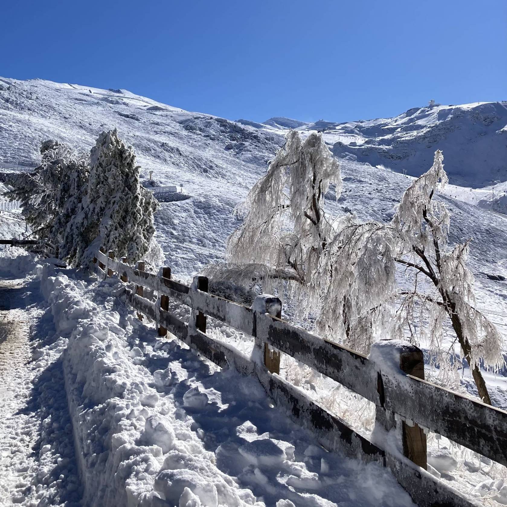que hacer sierra nevada nievemar scaled e1752740544315